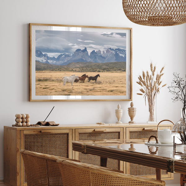 Wild Patagonia - Shutter and Frame