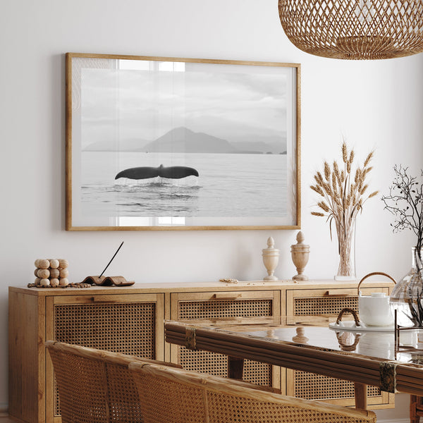 Tale of a Whale - Shutter and Frame