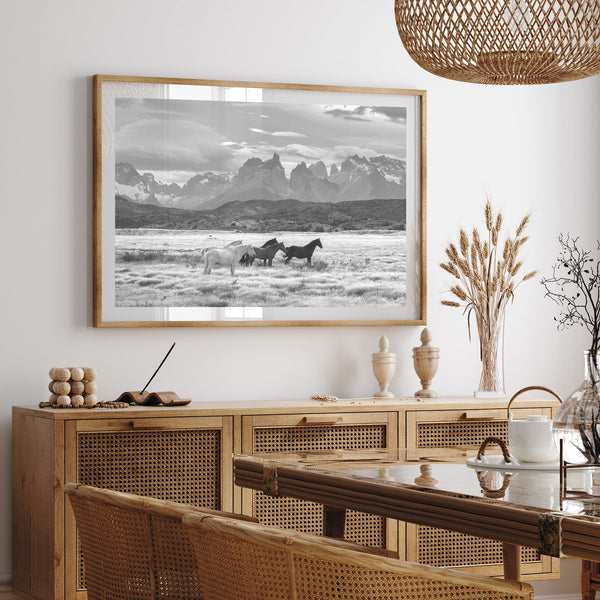 Wild Patagonia II - Shutter and Frame