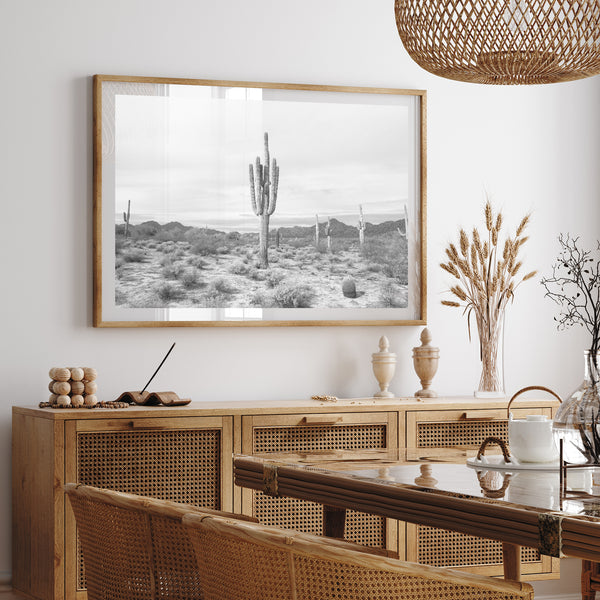 Sonora II - Shutter and Frame