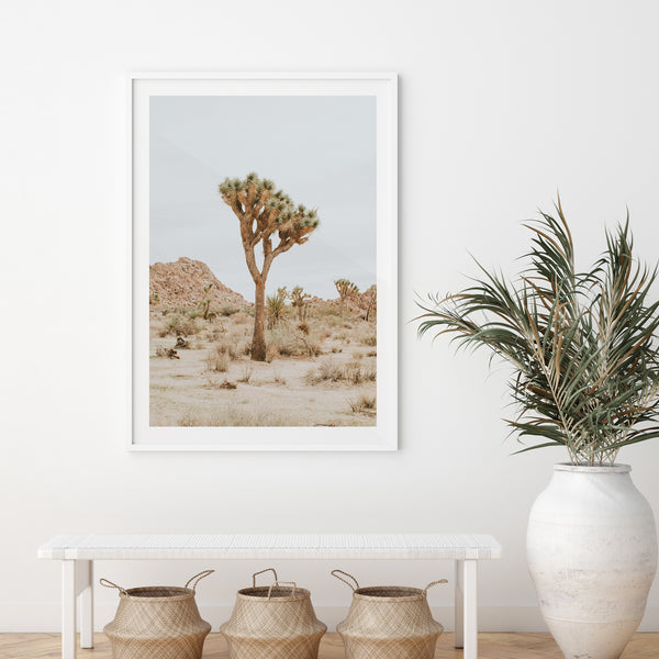 Joshua Tree II - Shutter and Frame