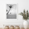 Palm Swing II - Shutter and Frame