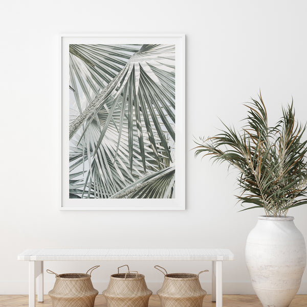 Palm Fan - Shutter and Frame