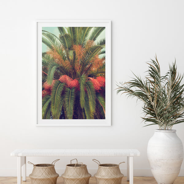 Queen Palm - Shutter and Frame
