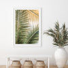 Shades of Green - Shutter and Frame