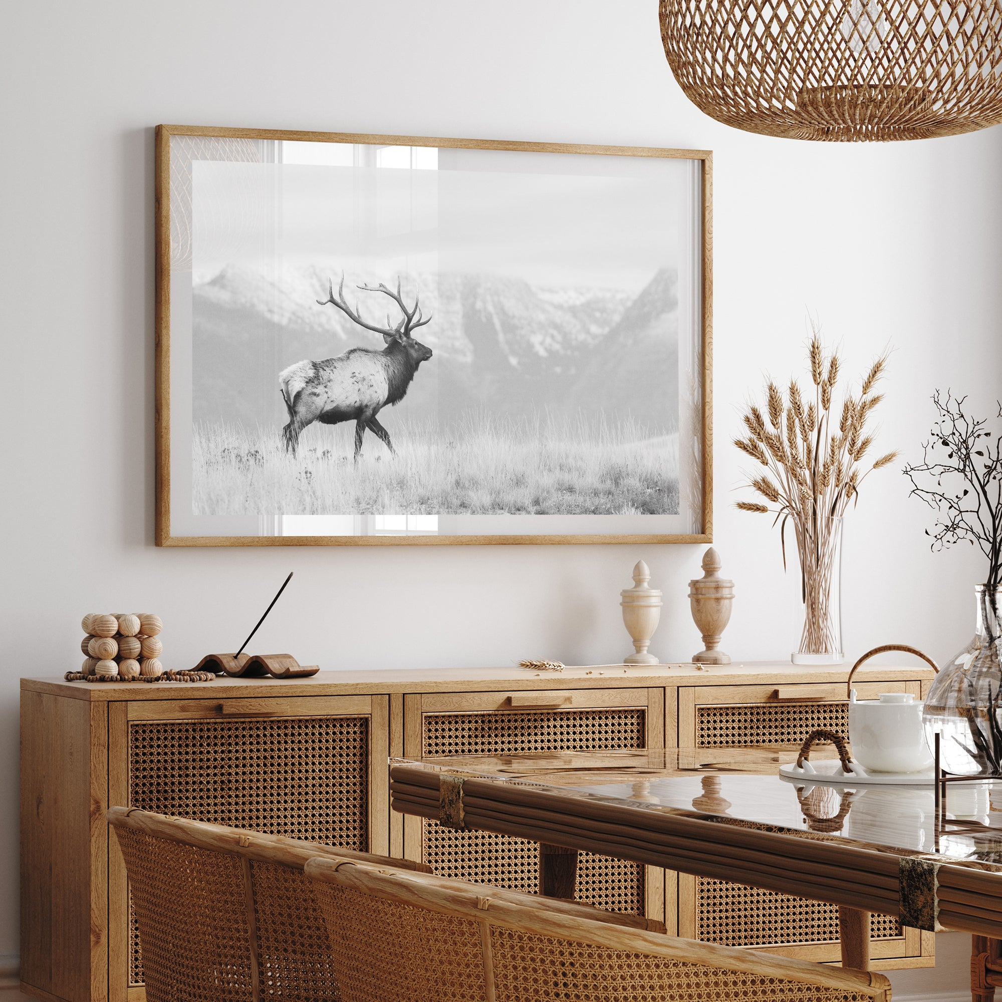 American Elk II - Shutter and Frame