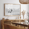 American Elk II - Shutter and Frame