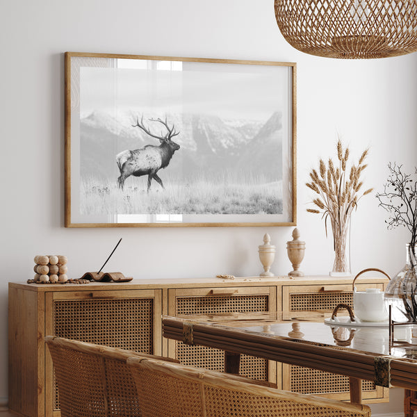 American Elk II - Shutter and Frame