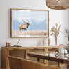 American Elk - Shutter and Frame