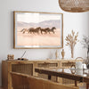 Gallop - Shutter and Frame