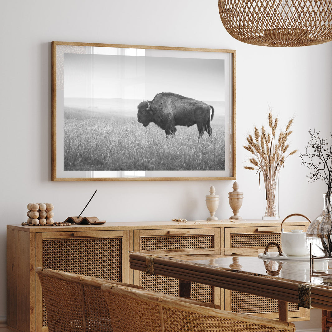 Tirages photo de la faune Structube