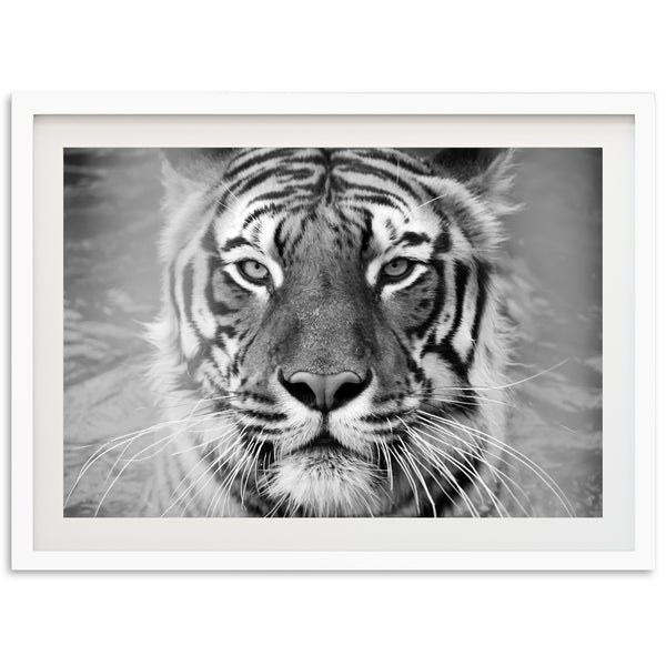 Untamed