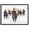 Winter Migration