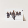 Winter Migration