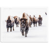 Winter Migration