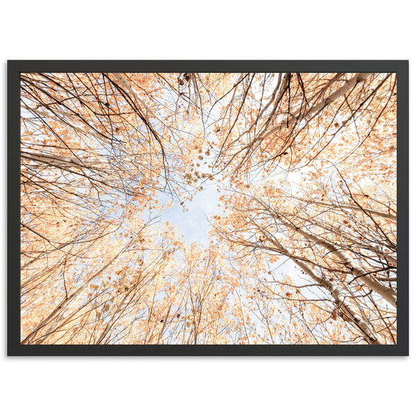 Fall Forever