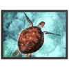 Honu Reef