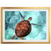 Honu Reef