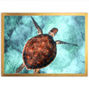 Honu Reef