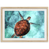 Honu Reef