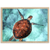 Honu Reef