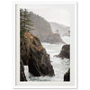 a picture of a rocky coast with trees on it