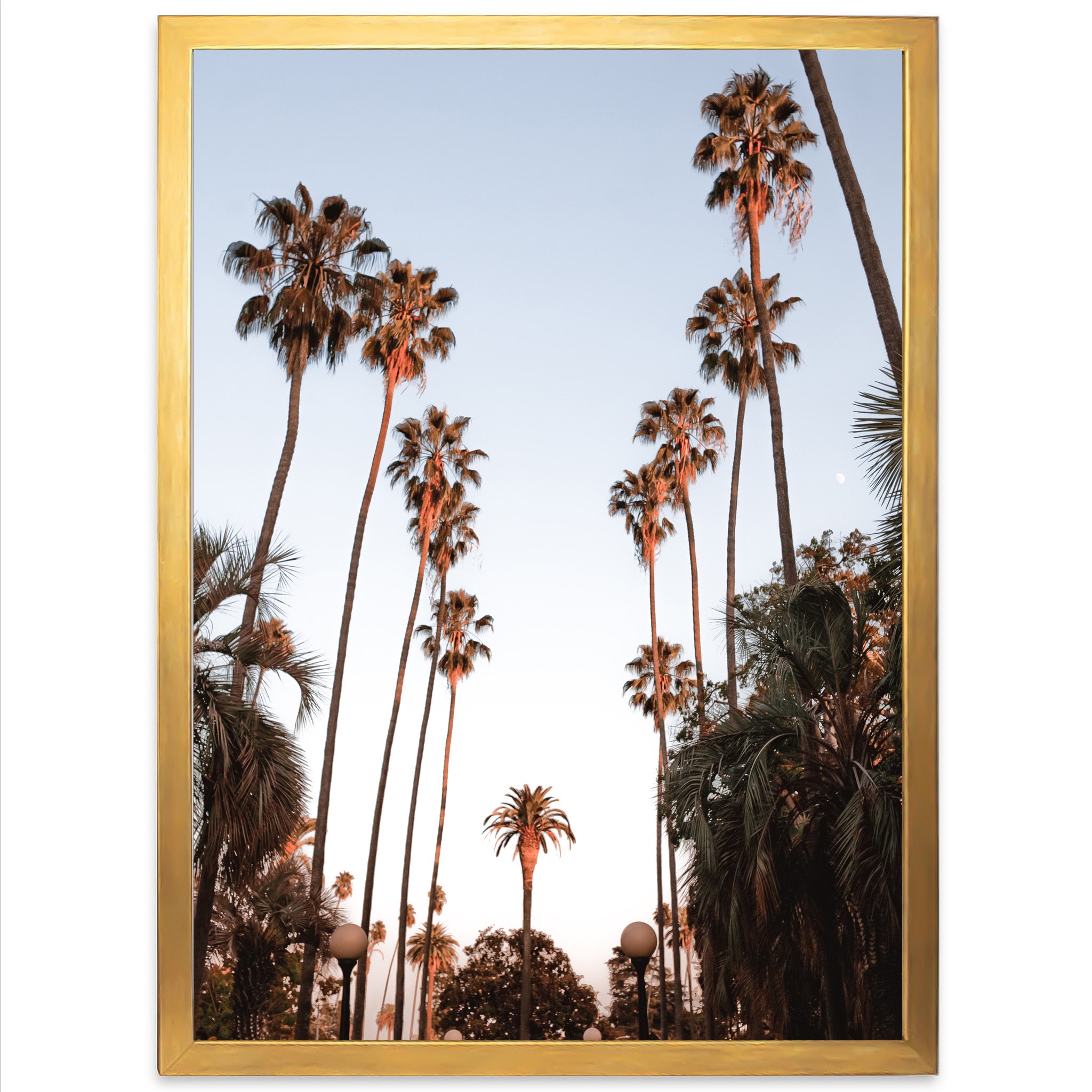 a picture of palm trees in a golden frame