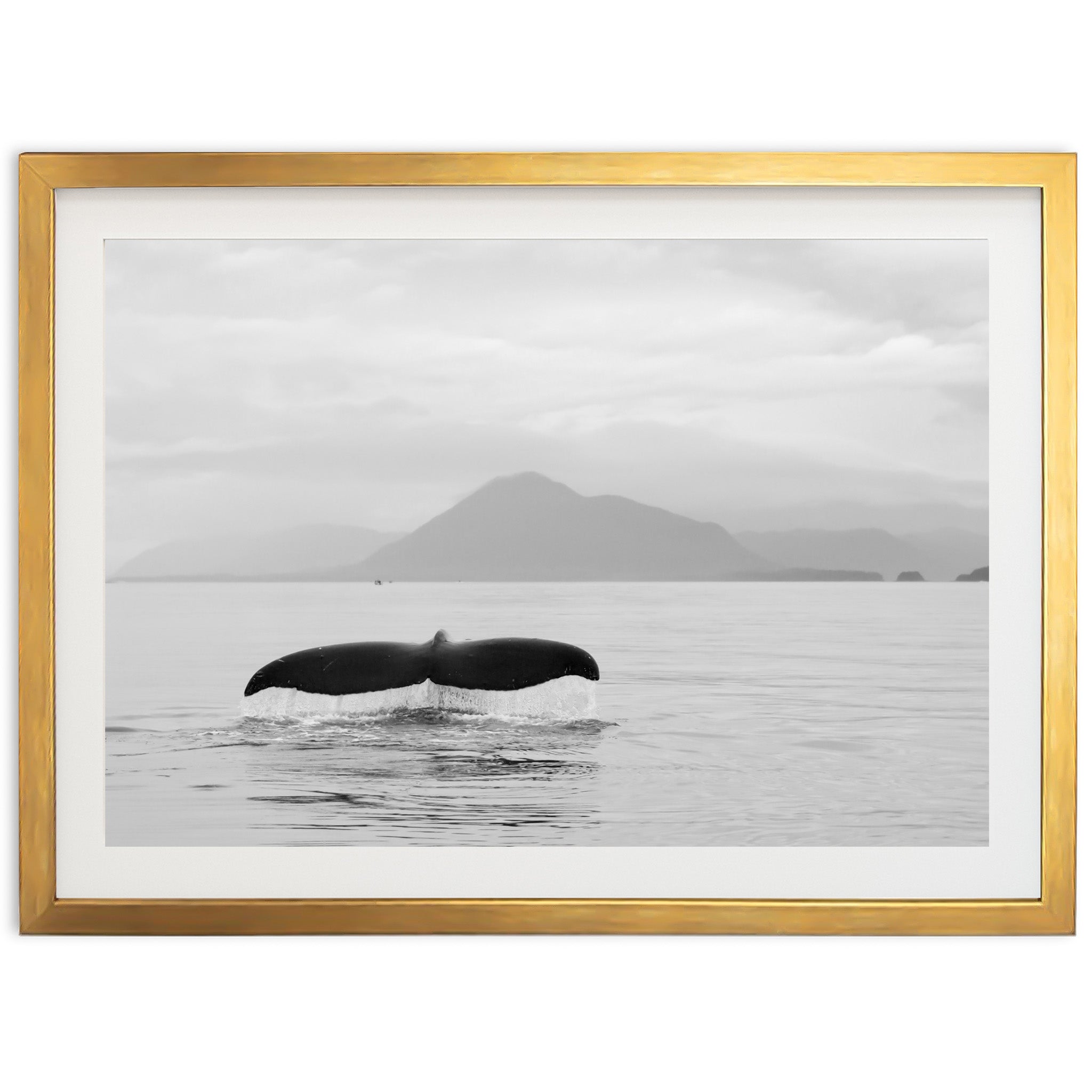 a black and white photo of a whale tail