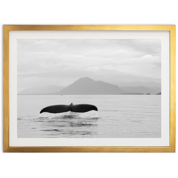 a black and white photo of a whale tail