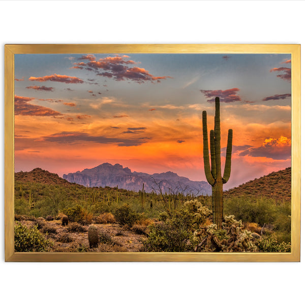 a desert scene with a cactus and mountains in the background