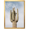 a large cactus with a sky background