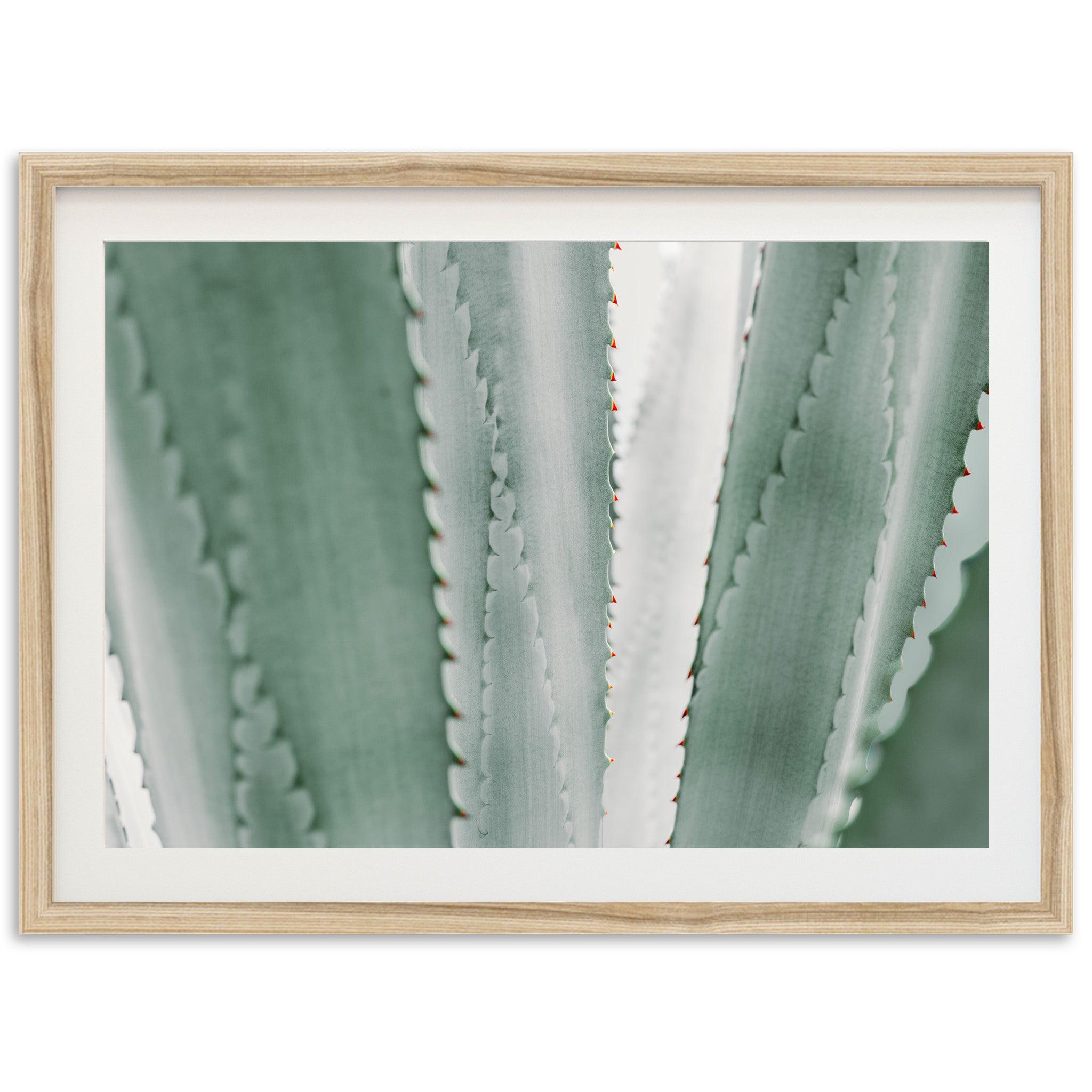 a close up of a plant in a wooden frame