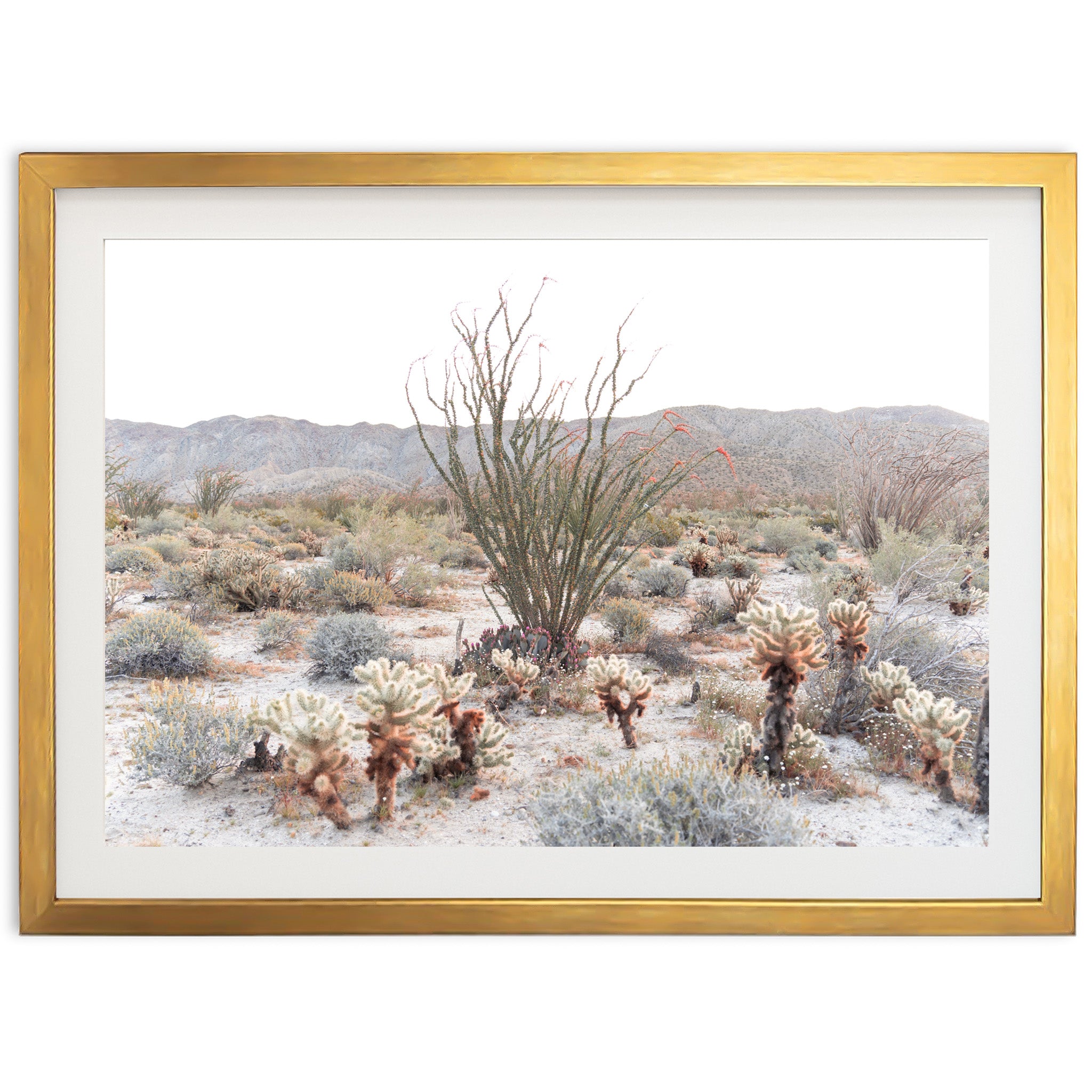 a picture of a desert with a cactus in the foreground