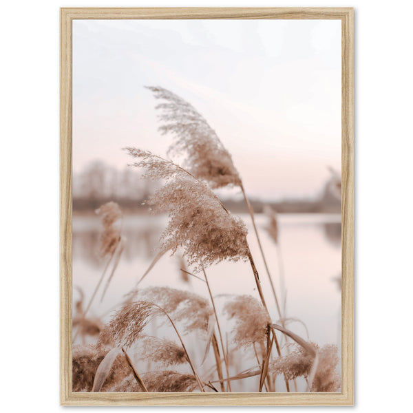 a picture of some plants by a body of water