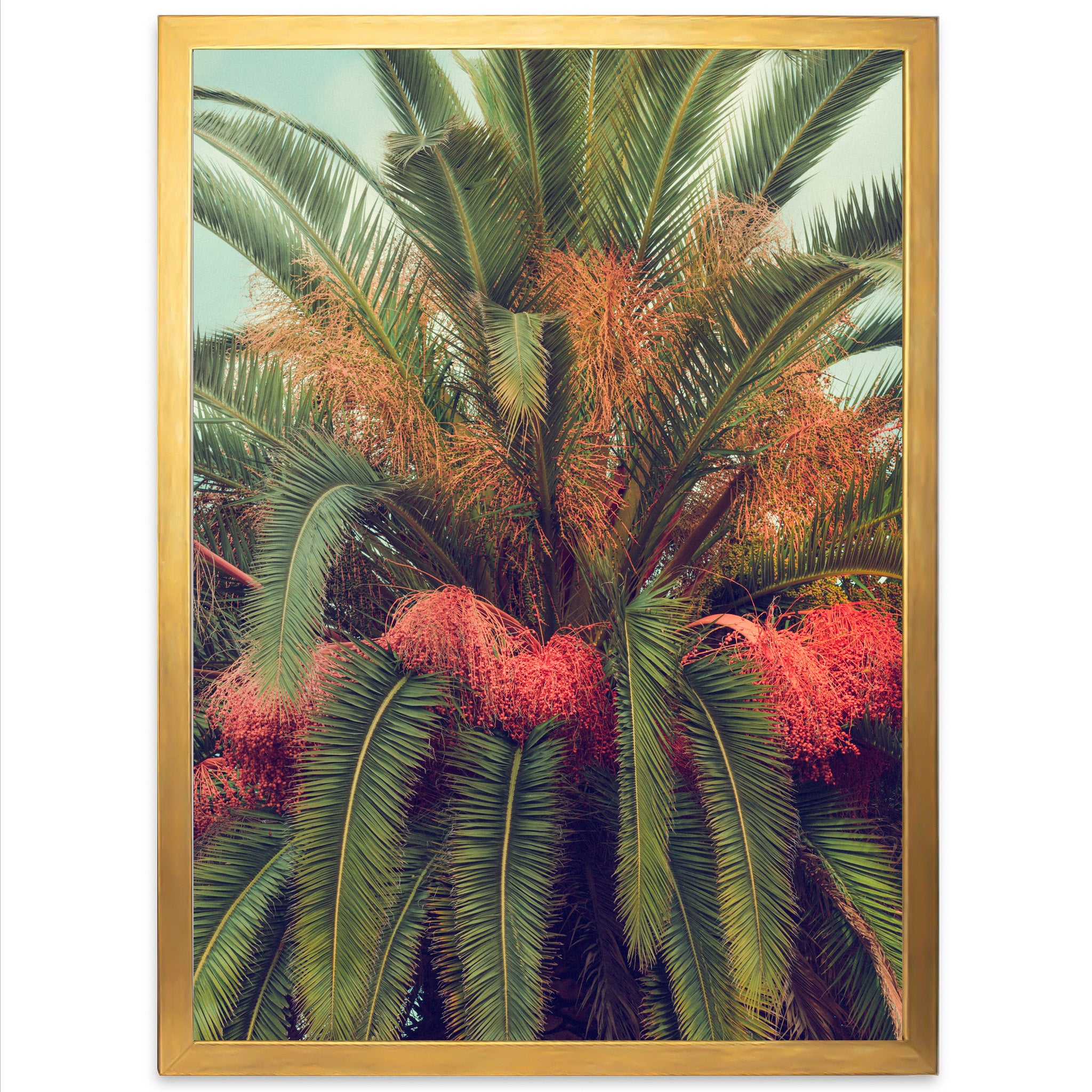 a picture of a palm tree with red flowers