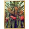 a picture of a palm tree with red flowers