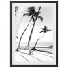 a black and white photo of palm trees on a beach