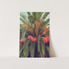 a picture of a palm tree with red flowers