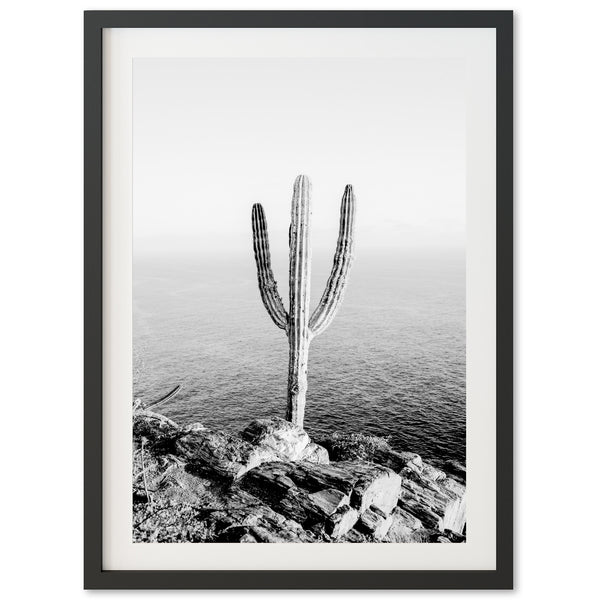 a black and white photo of a cactus by the ocean