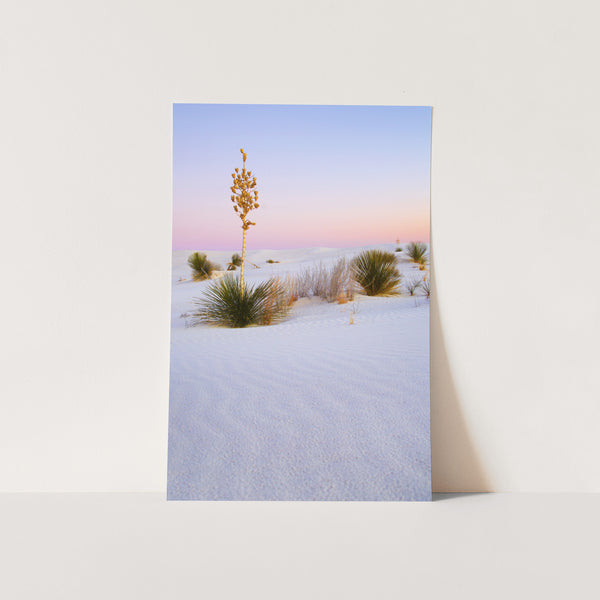 a card with a picture of a desert landscape