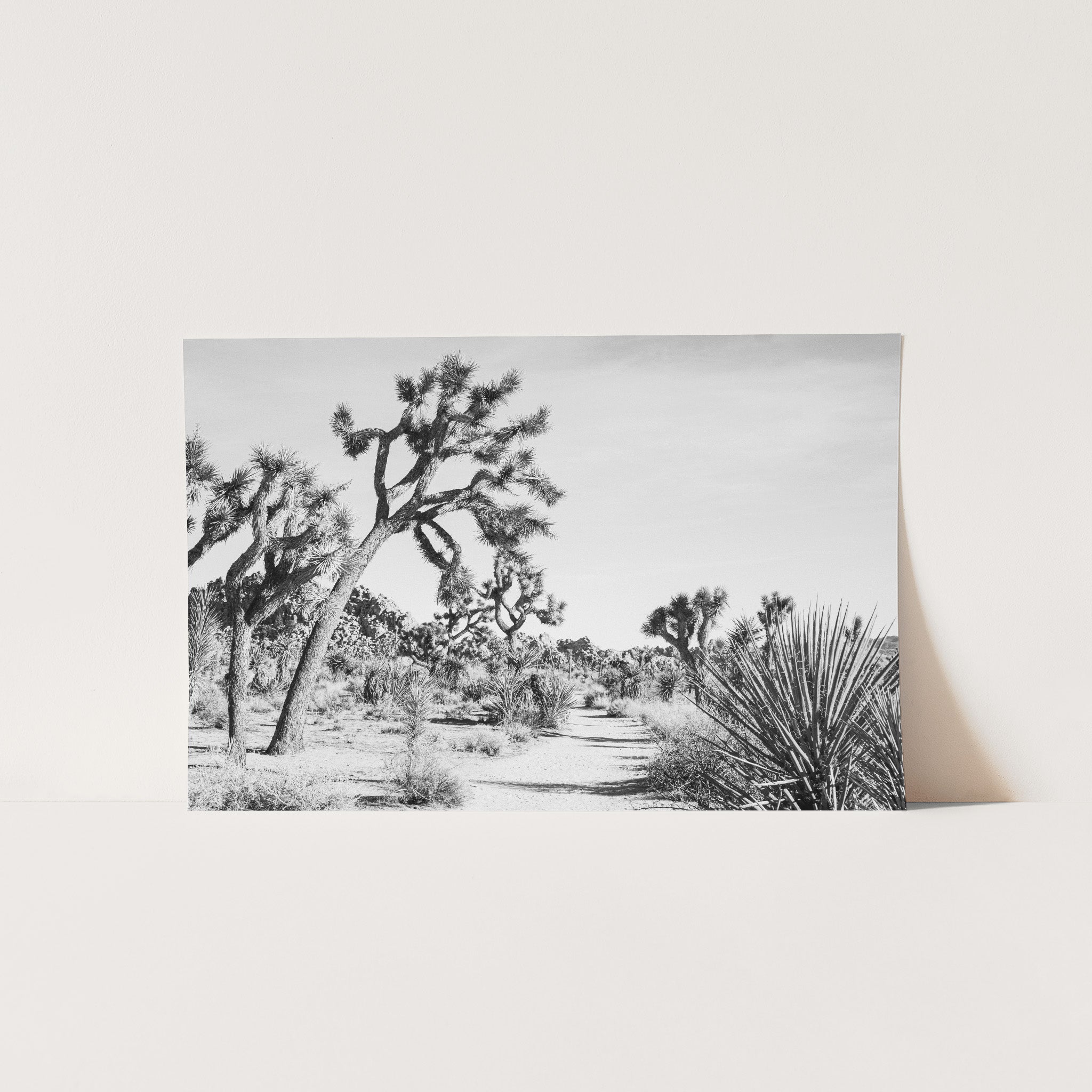 a black and white photo of a desert landscape