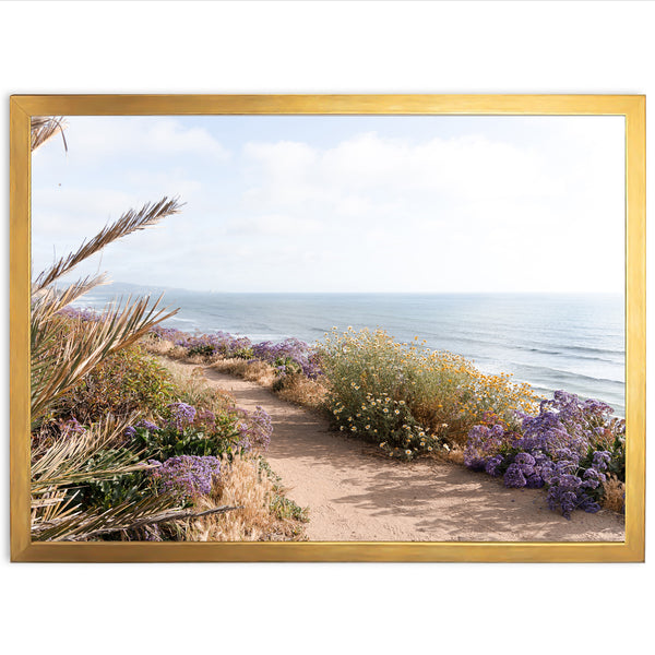 a picture of a path leading to the beach