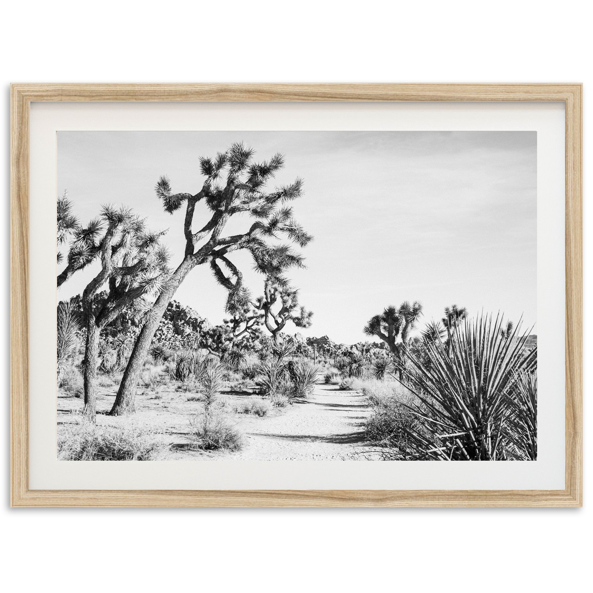 a black and white photo of a desert landscape