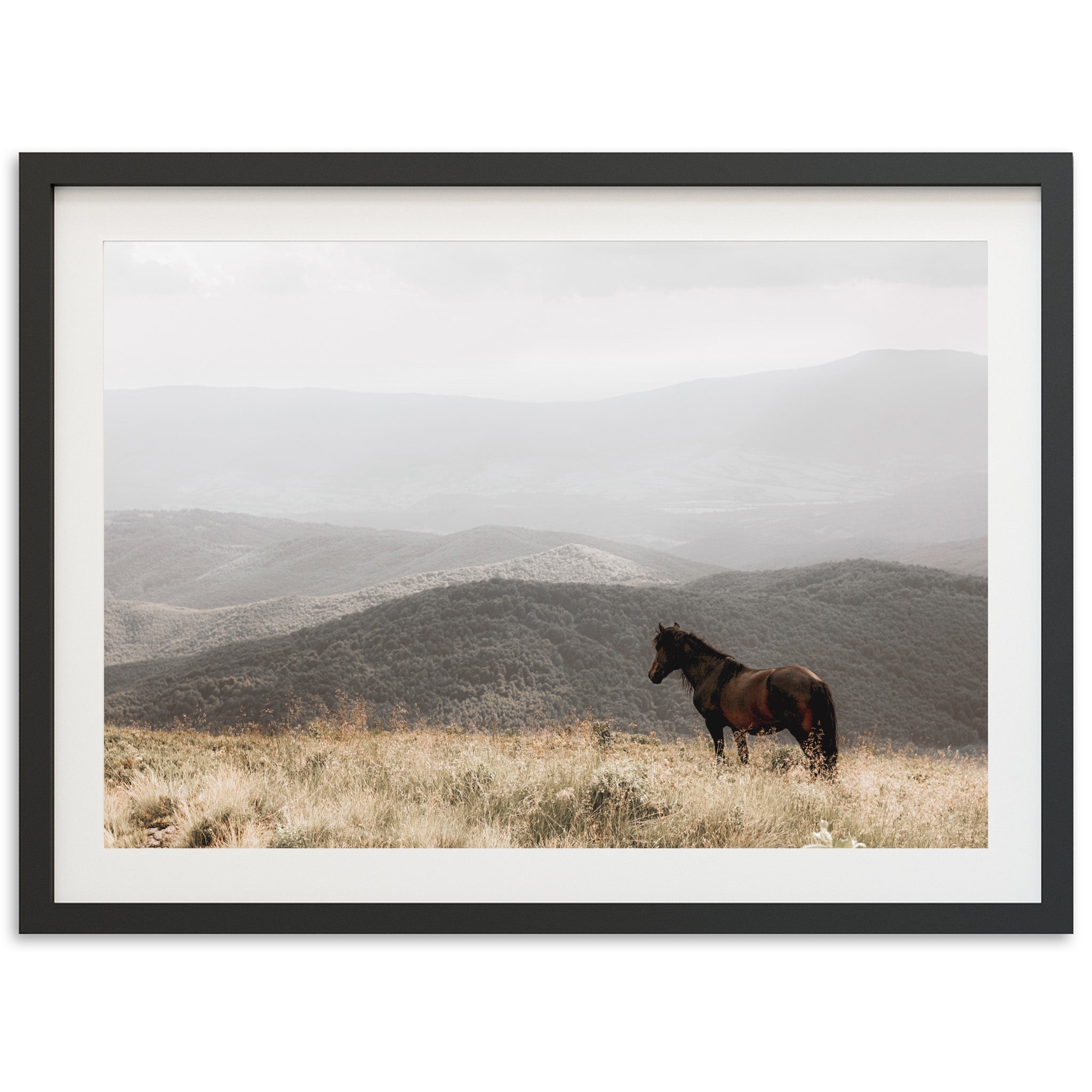 a horse standing in a field with mountains in the background