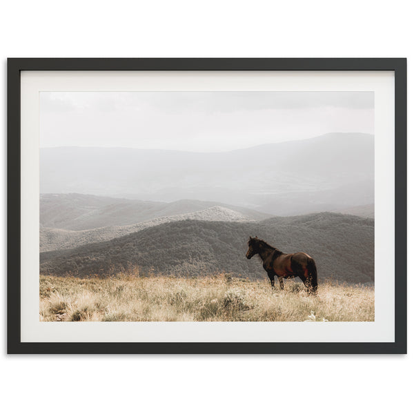 a horse standing in a field with mountains in the background