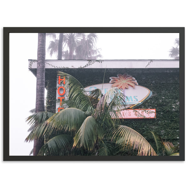 a picture of a palm tree and a neon sign