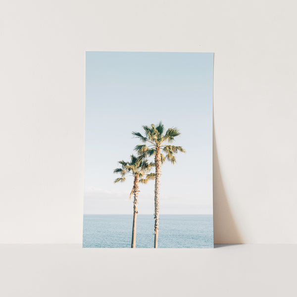 two palm trees in front of a white wall