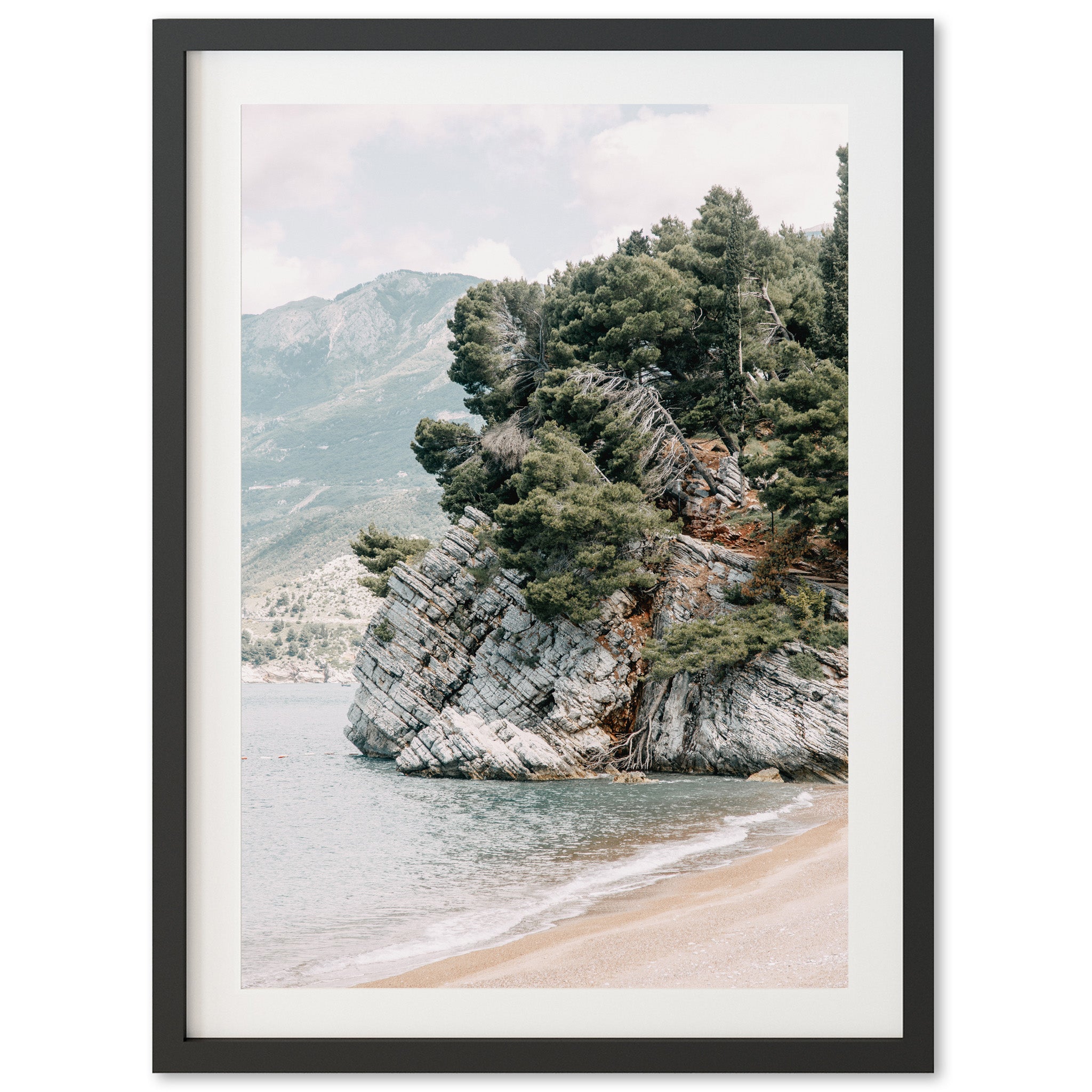 a picture of a beach with trees on it