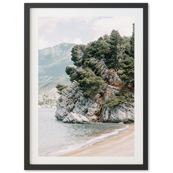 a picture of a beach with trees on it