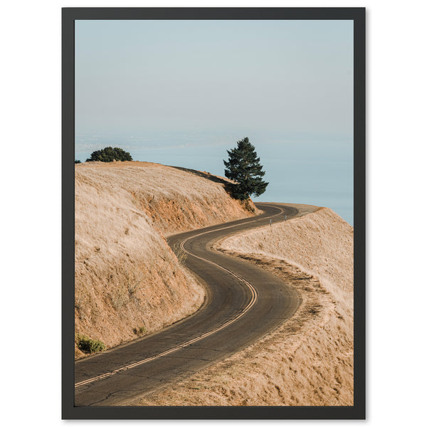 a picture of a dirt road with a tree on top of it